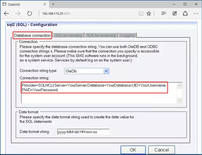 specifying the connection string for the ms sql database