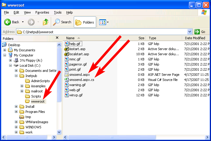 necessary files in the root directory of iis