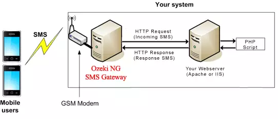 receiving an sms from a website