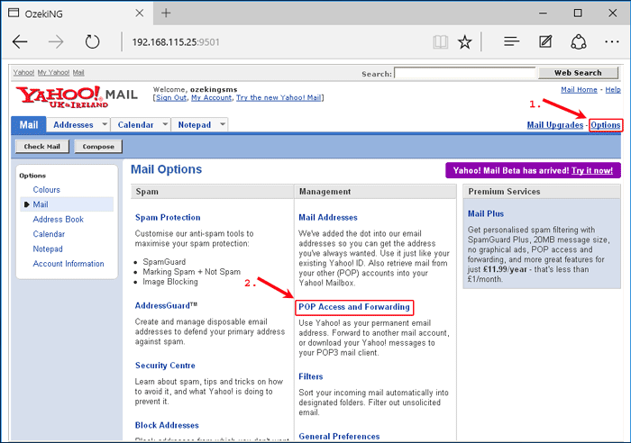yahoo mail options mail pop access forwarding