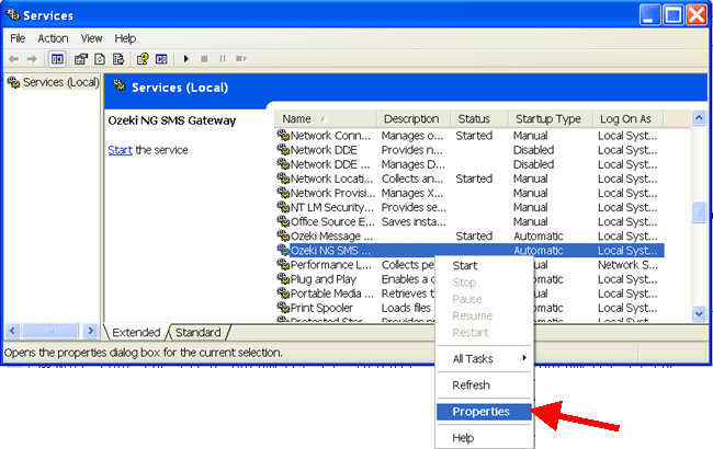 checking the service in the service management window