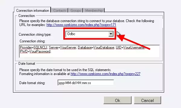 connection string type